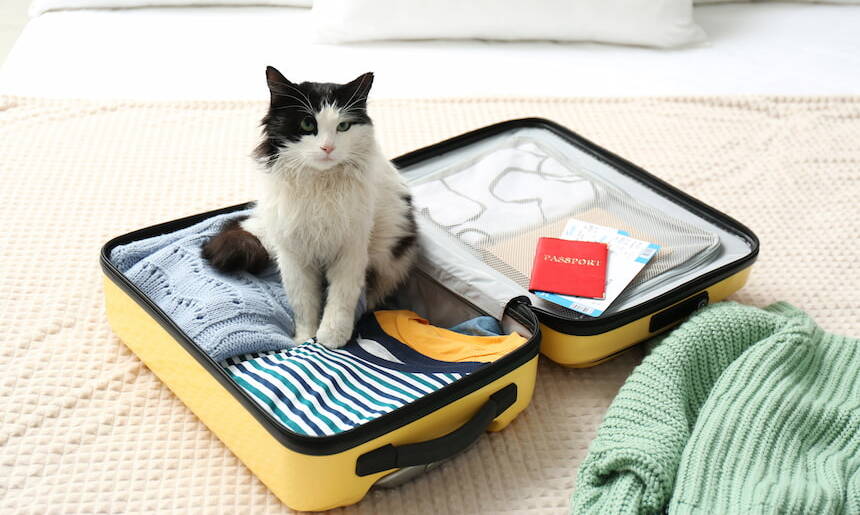 Alle Produkte der Kategorie