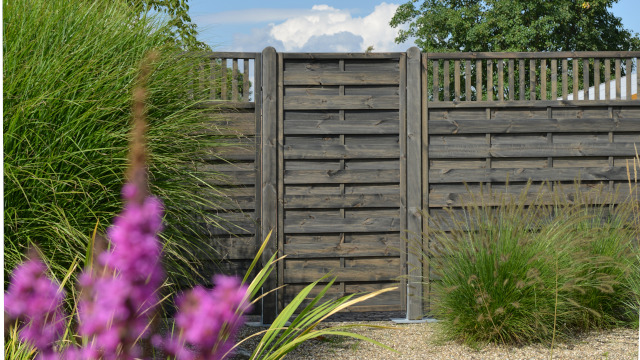 OSMO Sichtschutz Borkum