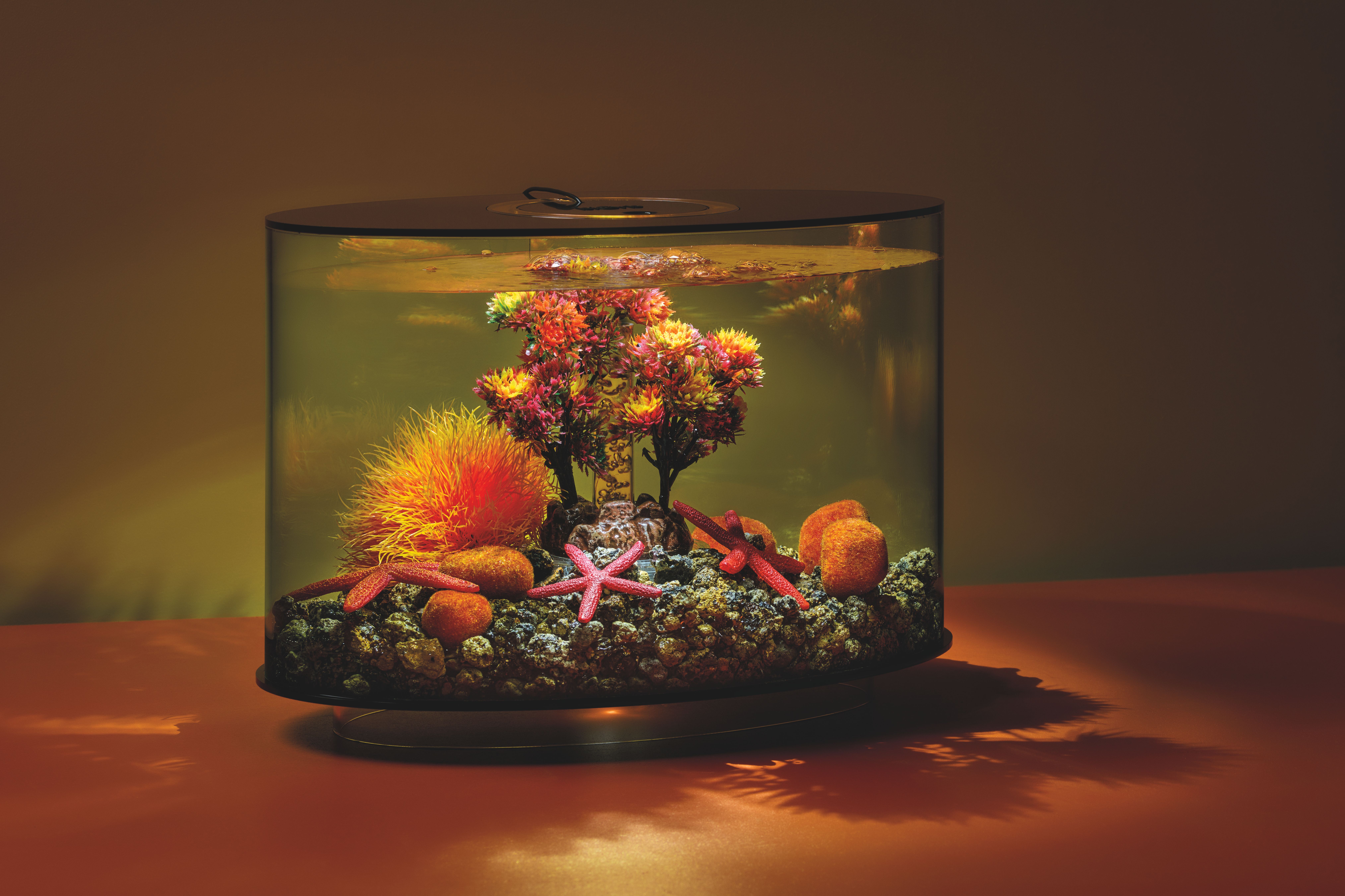 Aquaristik und Deko
