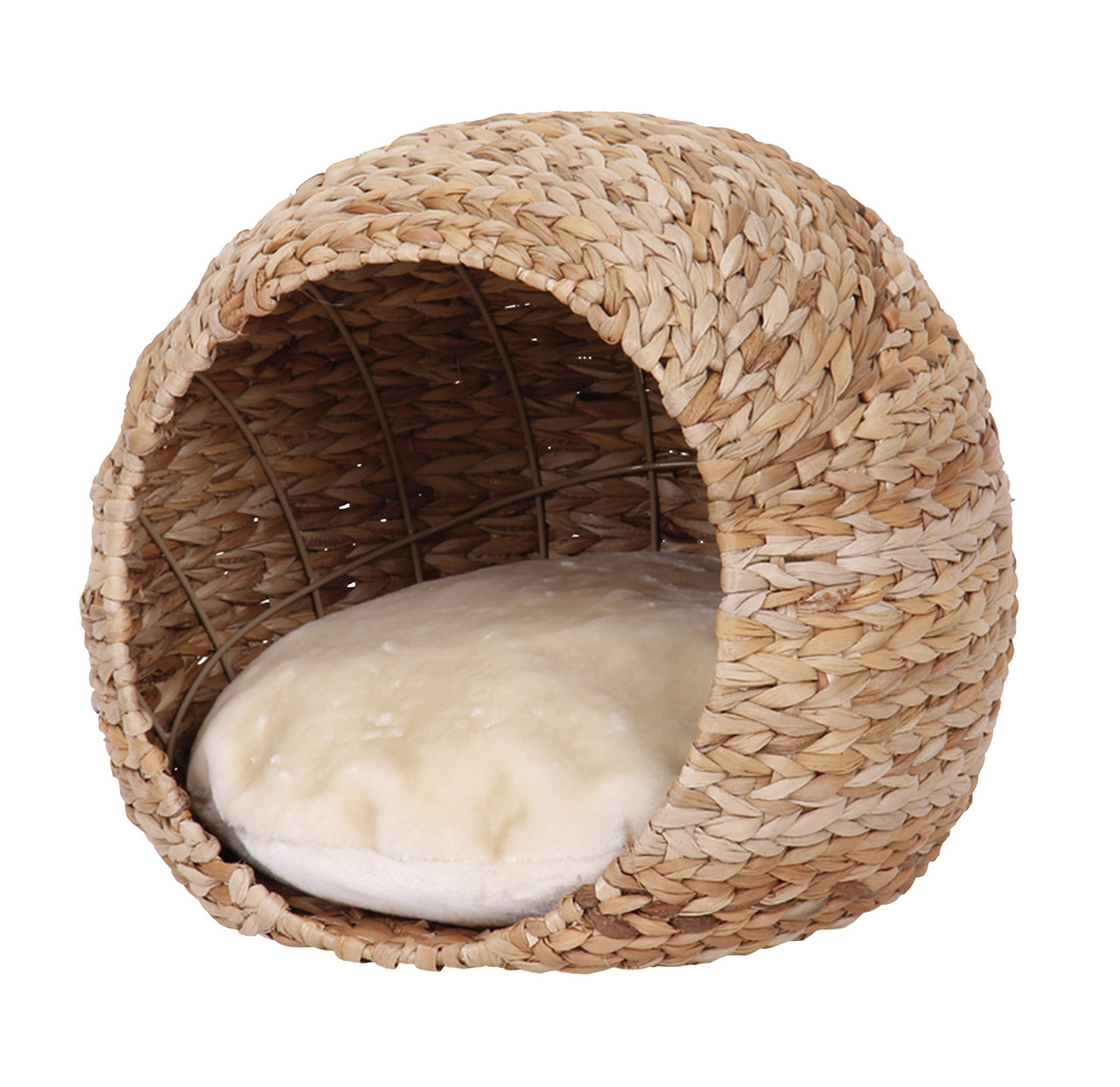 Nobby Katzenschlafplätze