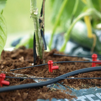 Bewässerung für Gewächshäuser