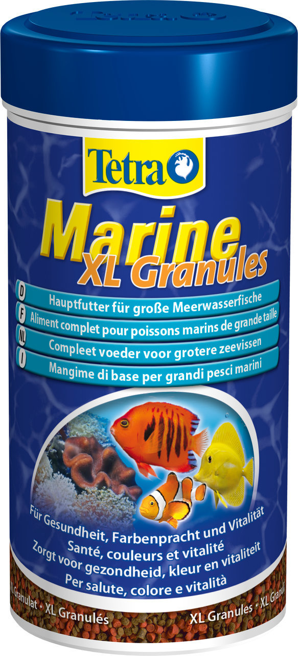 Meerwasseraquaristik