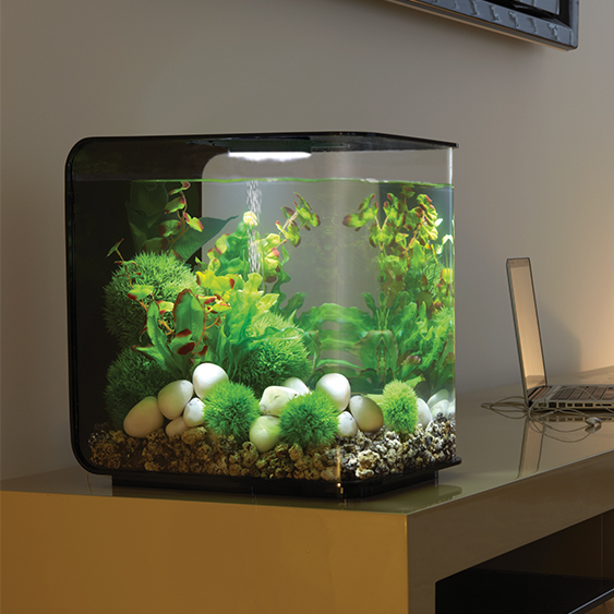 biorb Flow MCR Aquarium