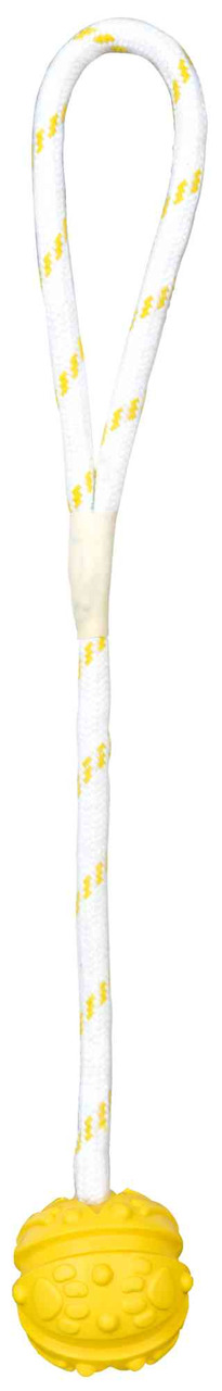 Wurfspielzeug & Apportierspielzeug für Hunde