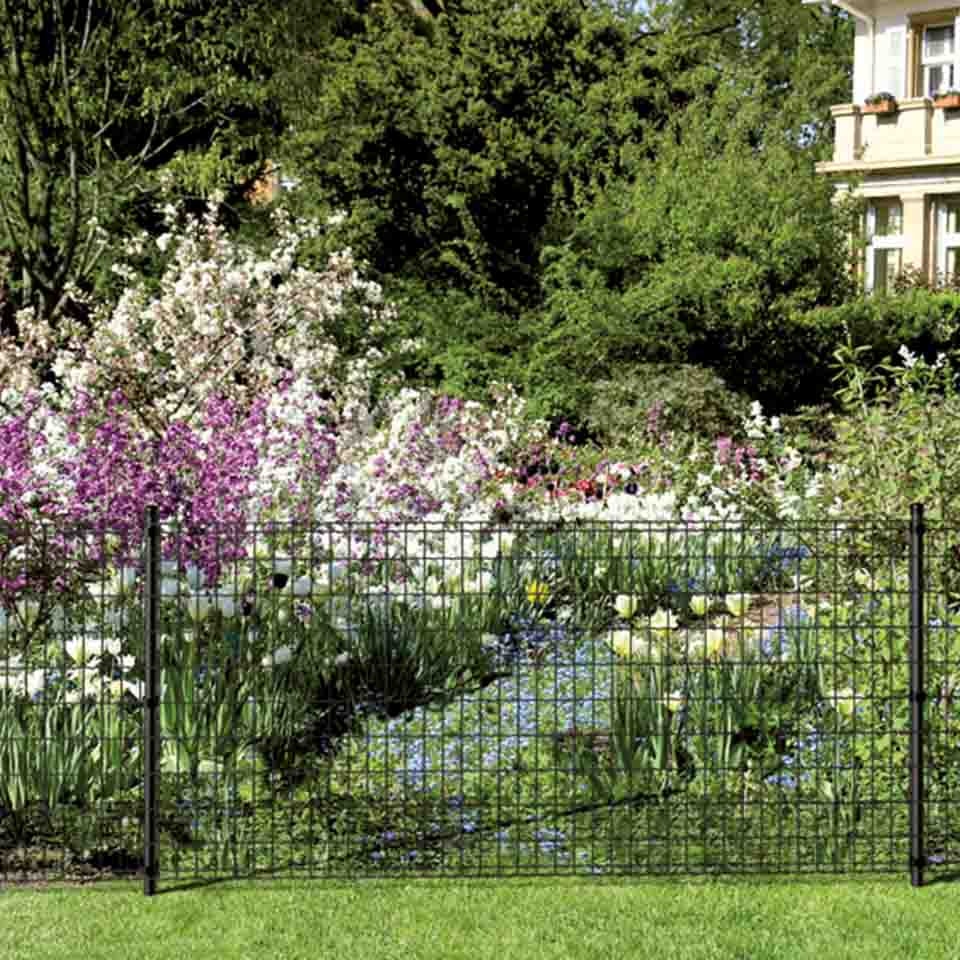 Alberts Komplettsets