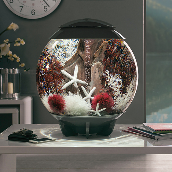 biorb Halo MCR Aquarium