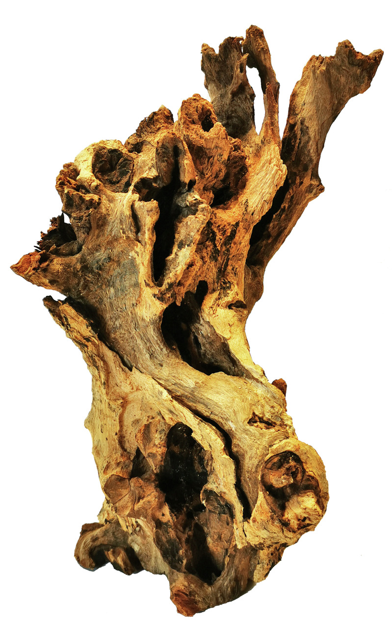 ORBIT Aquariendekoration