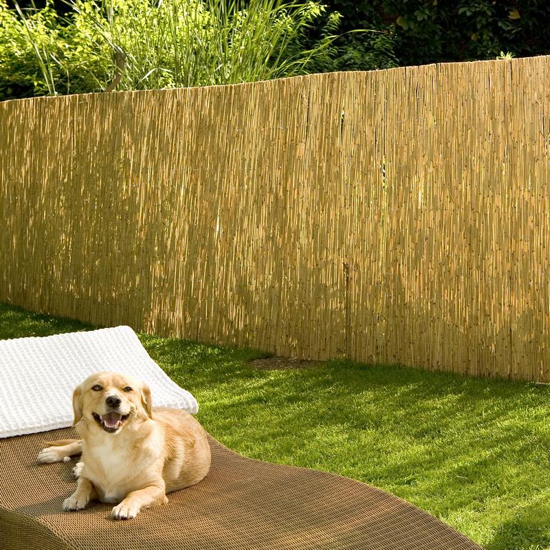 Alle Produkte der Kategorie