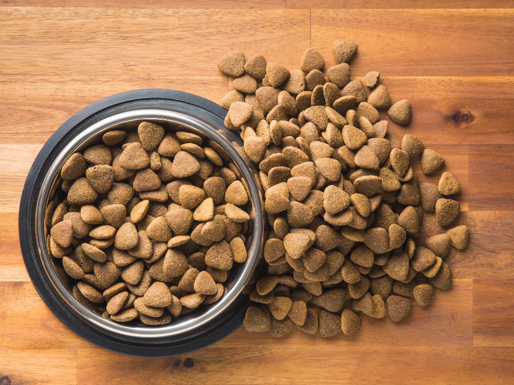 Trockenfutter für Hunde