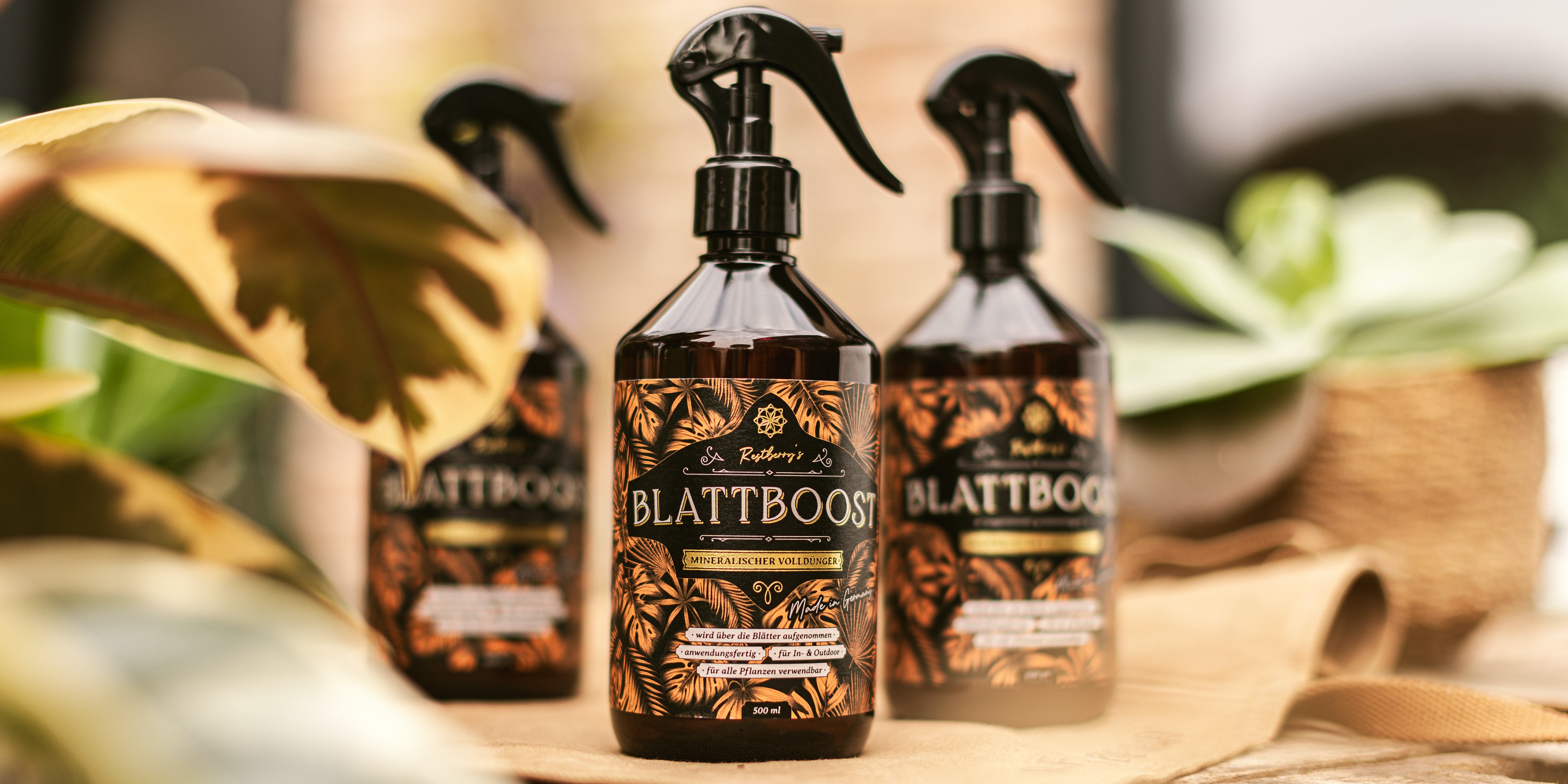 Restberry Anzucht & Pflege