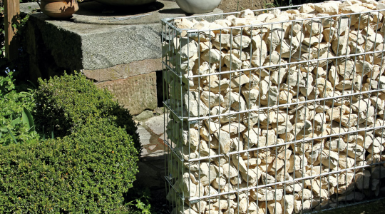 Alberts Zaungabione Cluster