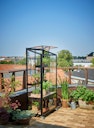 Juliana Gewächshaus Urban City Greenhouse - 0,32 m²