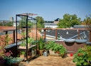 Juliana Gewächshaus Urban City Greenhouse - 0,32 m²