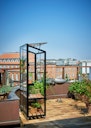 Juliana Gewächshaus Urban City Greenhouse - 0,32 m²