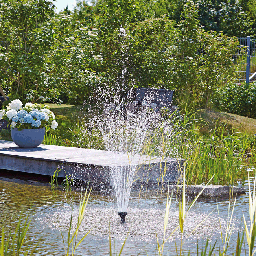 Oase Wasserspiele im Teich
