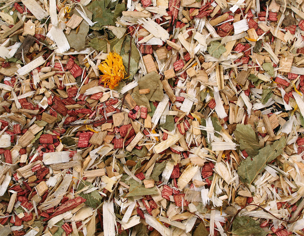 Pflege & Hygiene für Voegel