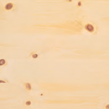 Alpen-Zirbe Varianten Bild