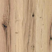 Eiche alt Varianten Bild