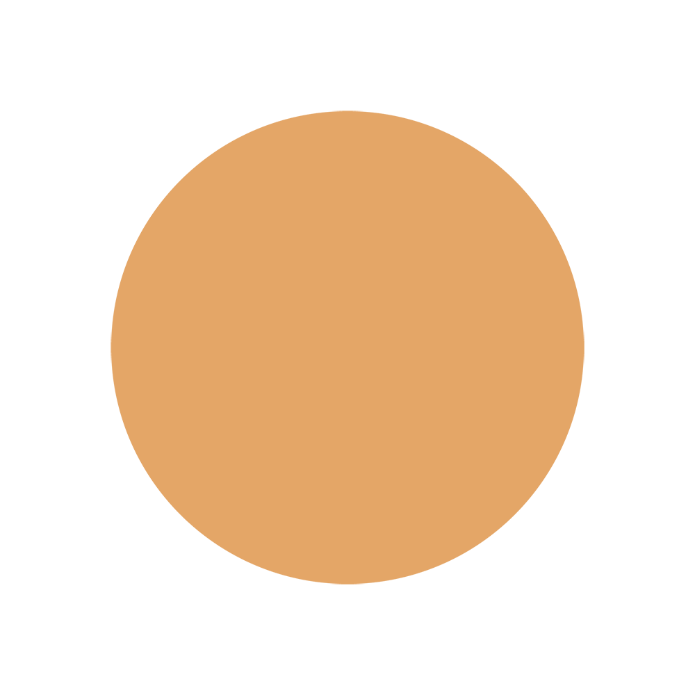 Thermoholz Varianten Bild