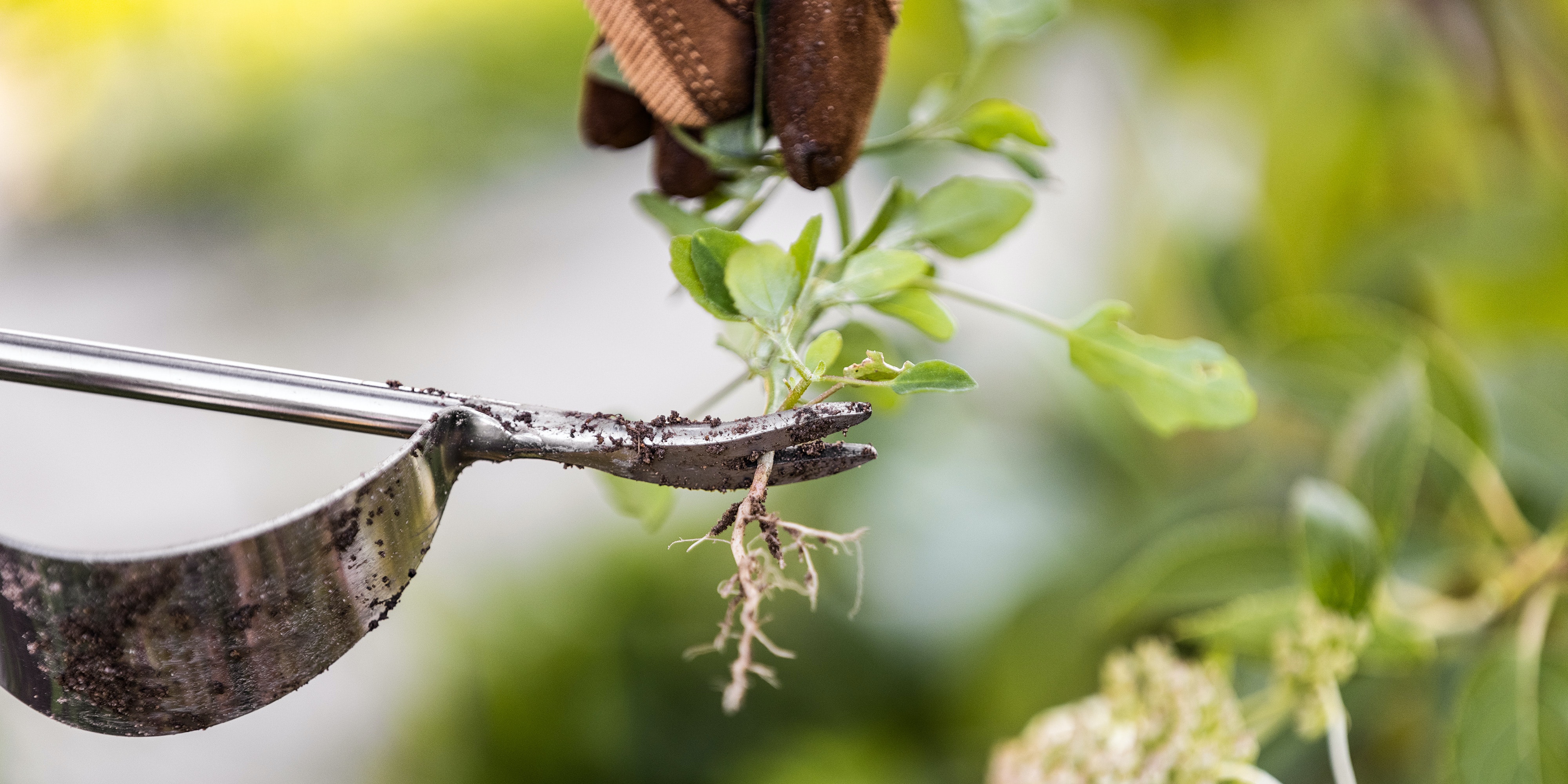 Unkrautstecher & Fugenkratzer