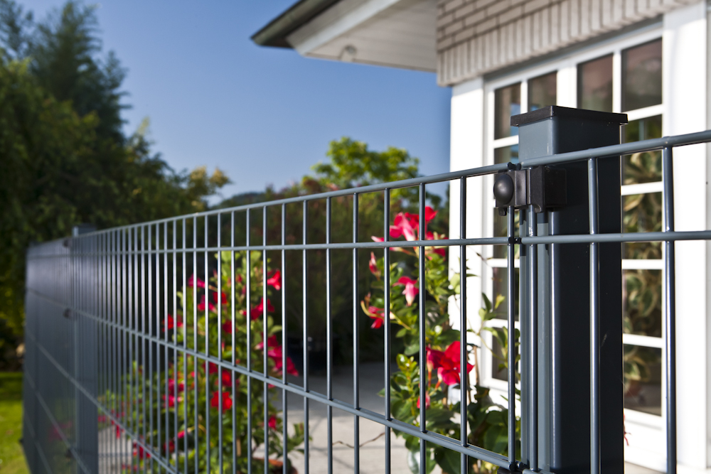 Alle Produkte der Kategorie