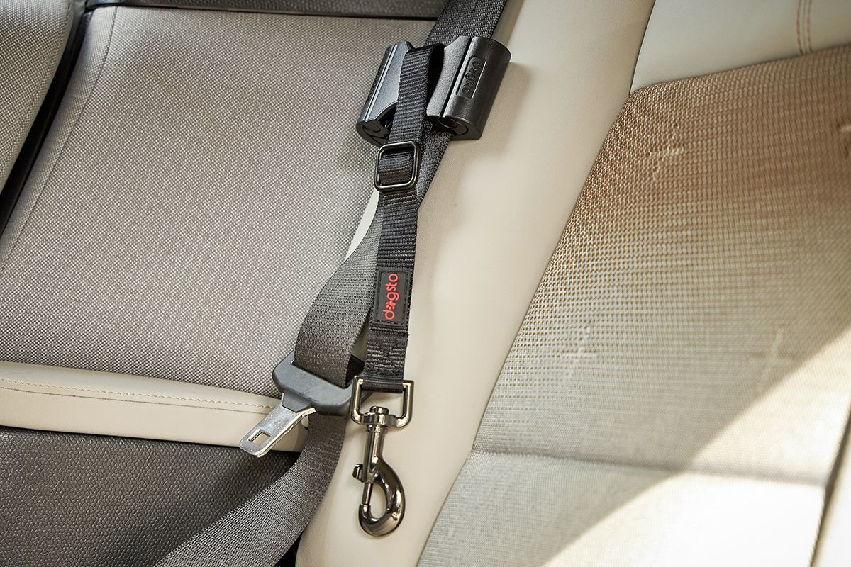 Wolters Auto-Geschirr