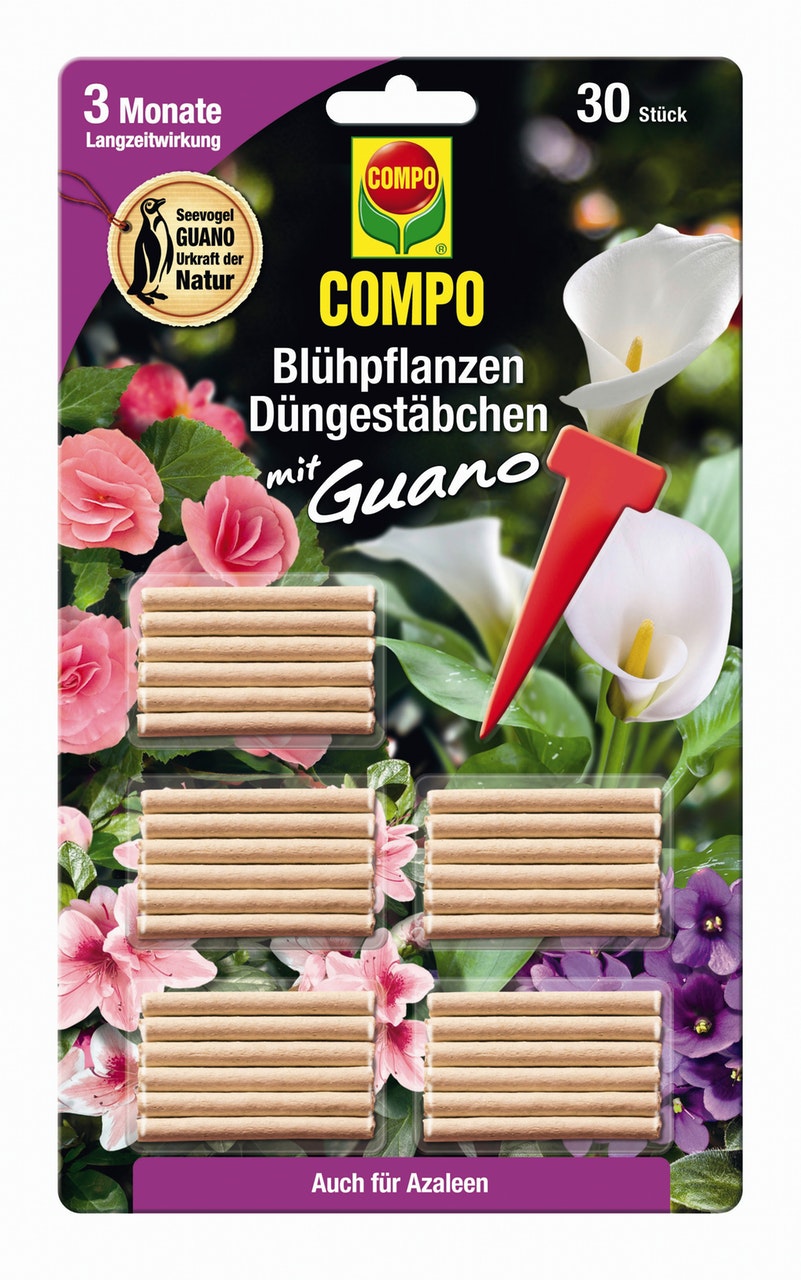 COMPO Blühpflanzen Düngerstäbchen mit GUANO