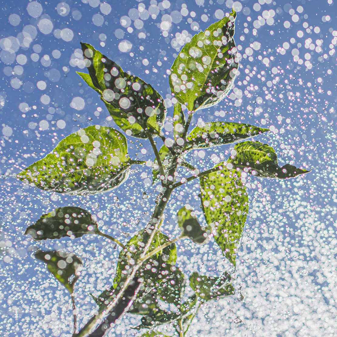 Effektiv & wertvoll: Regenwassernutzung