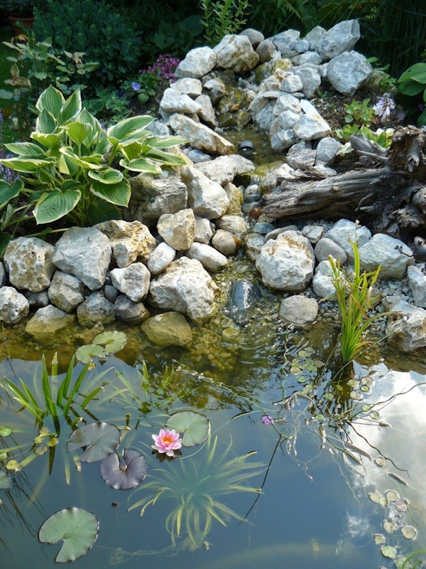 Glasklares Wasser dank perfekter Teichtechnik Glasklares Wasser dank perfekter Teichtechnik