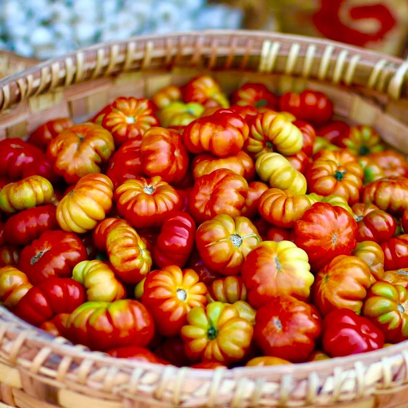 Tomaten gibt es vielen verschiedenen Sorten!