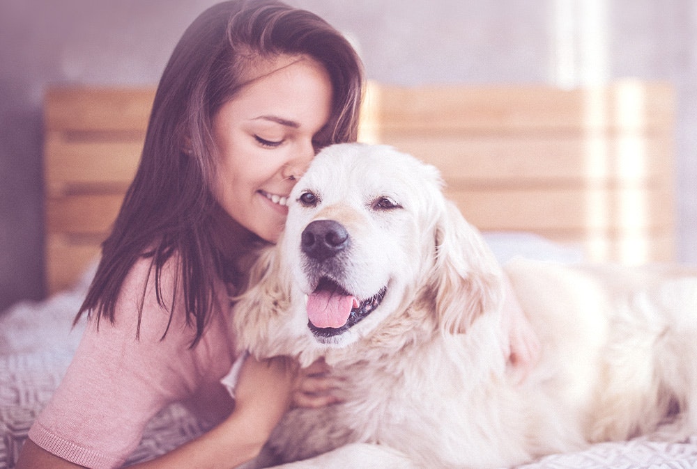 Happy Dog Fleisch pur Nassfutter Für das volkommene Geschmackserlebnis