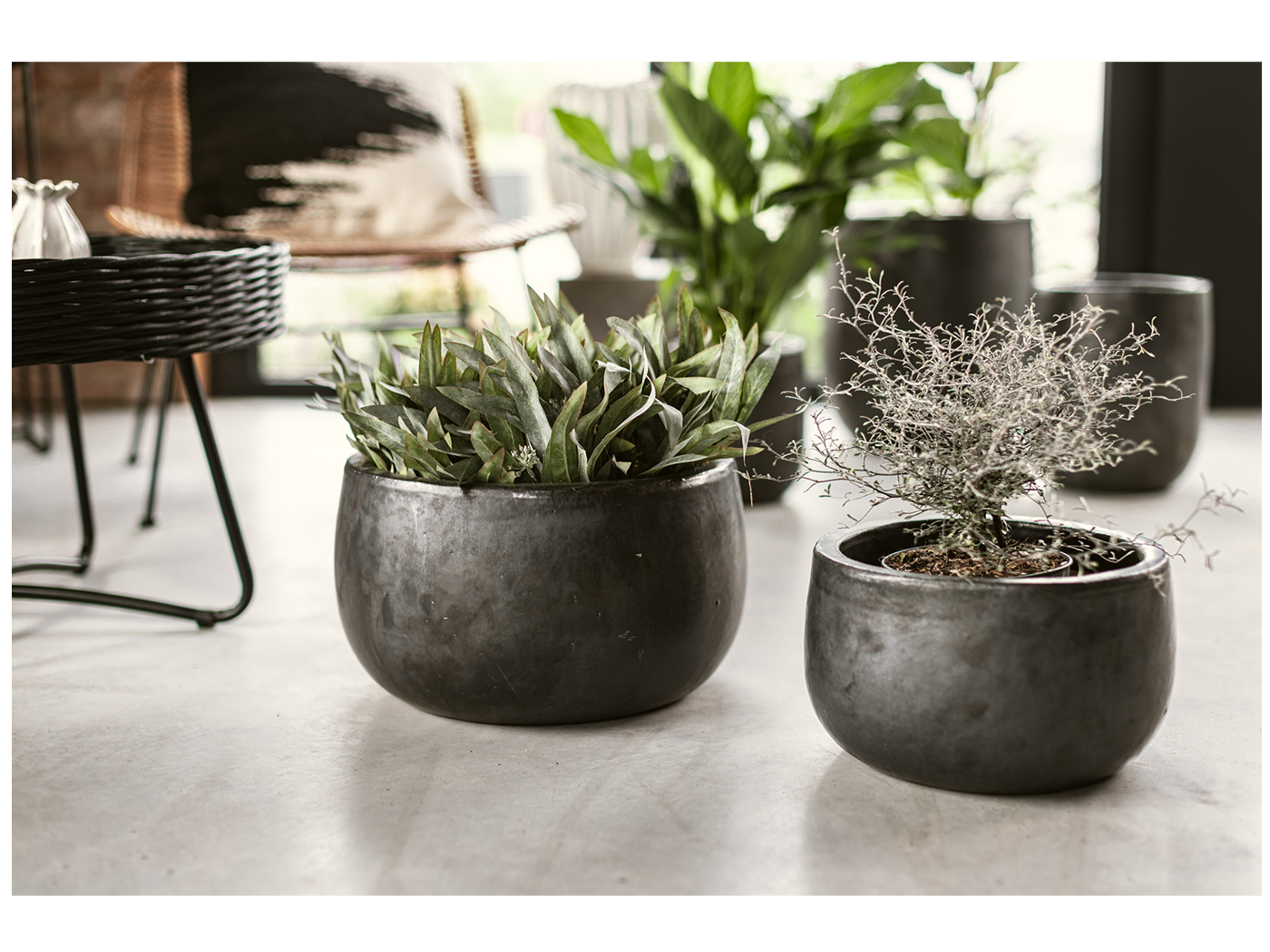 Vosteen Design Blumentopf / Pflanzgefäß Terrakotta schwarz