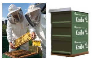 Karibu Bienenstock Karibu Bienenstock