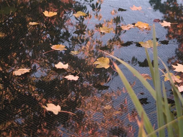 Teichnetz - Teich vor herabfallendem Laub schützen
