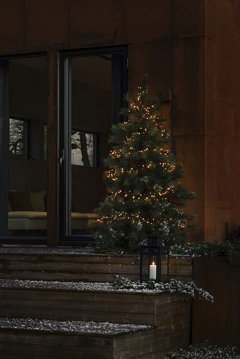 App-gesteuerte Weihnachtsbeleuchtung für den Garten