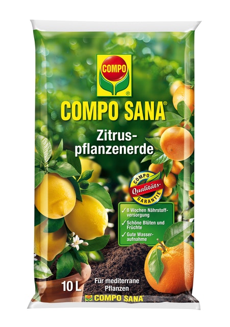 COMPO SANA Zitruspflanzenerde
