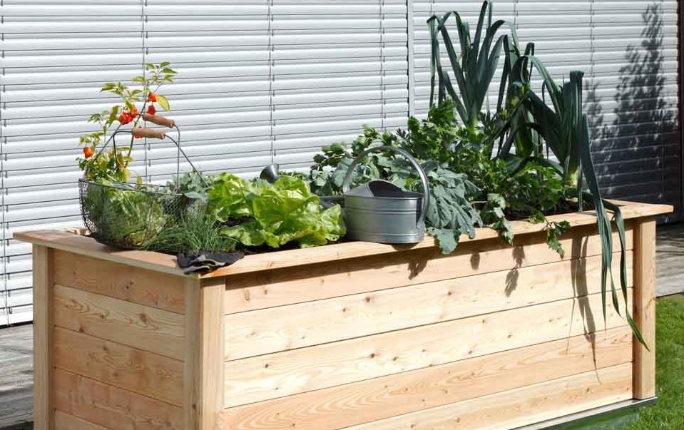 Hochbeet aus hochwertigem Lärchenholz: das KGT Woody 210