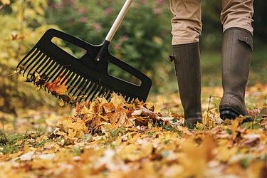Garten im Herbst
