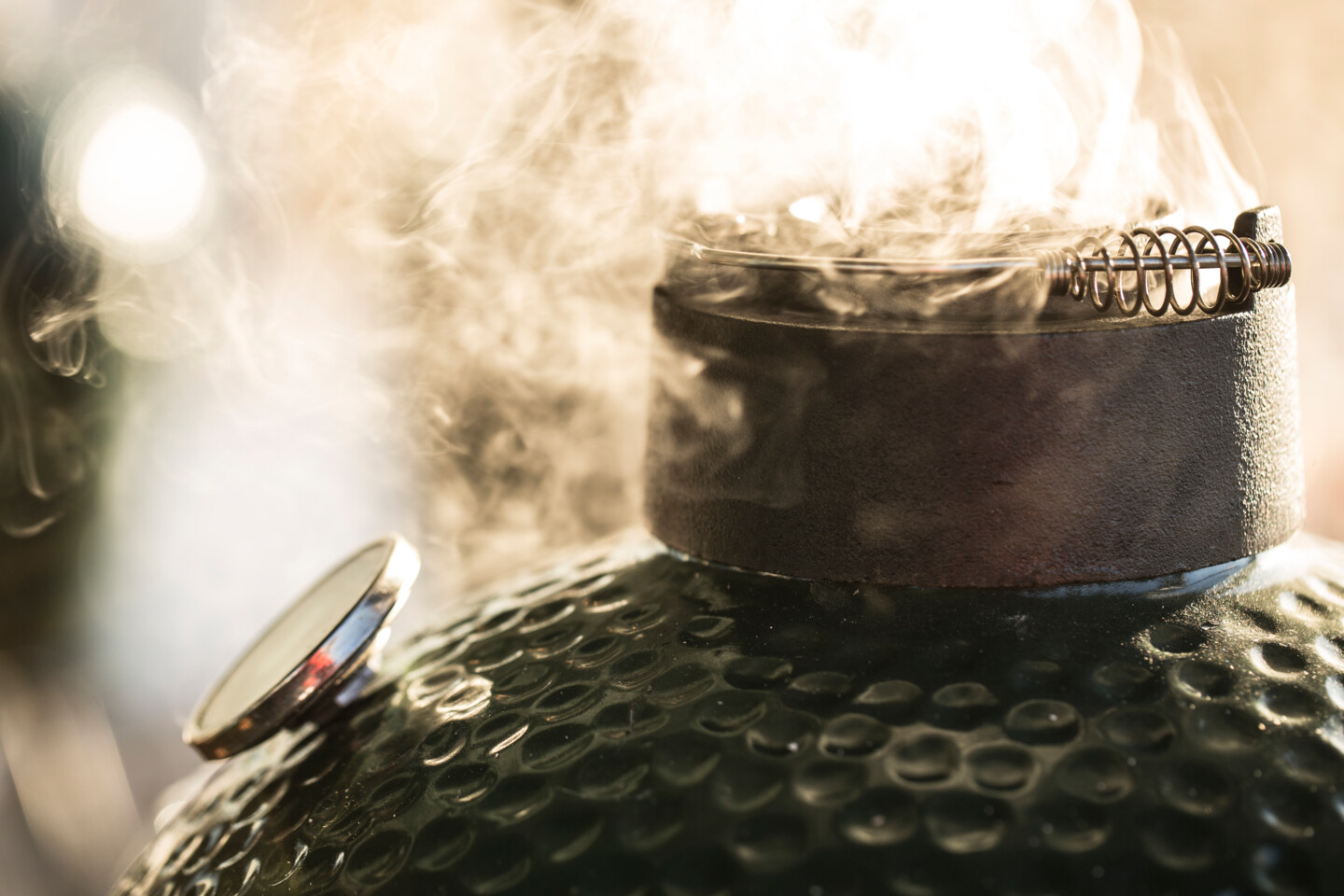 Big Green Egg der Marktführer