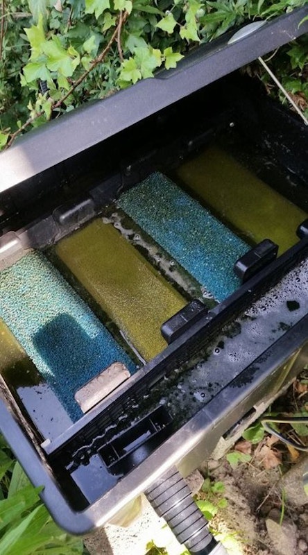 Oase Teichfilter