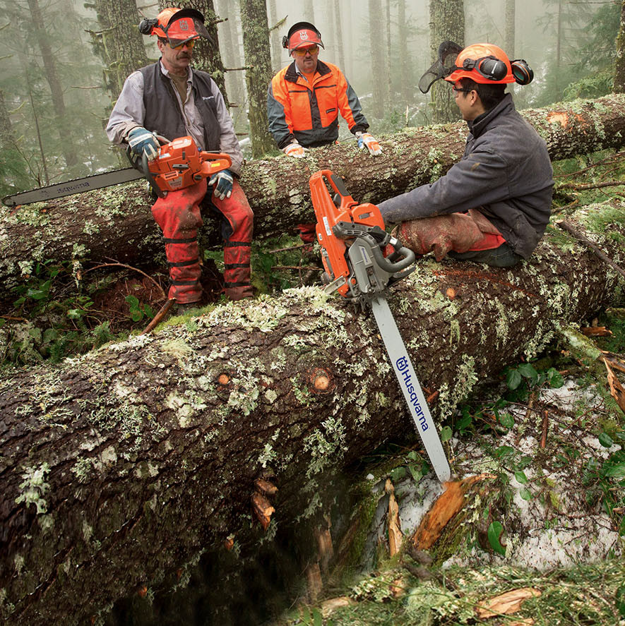 Kaufberatung Motorsäge: Welche ist die Richtige?