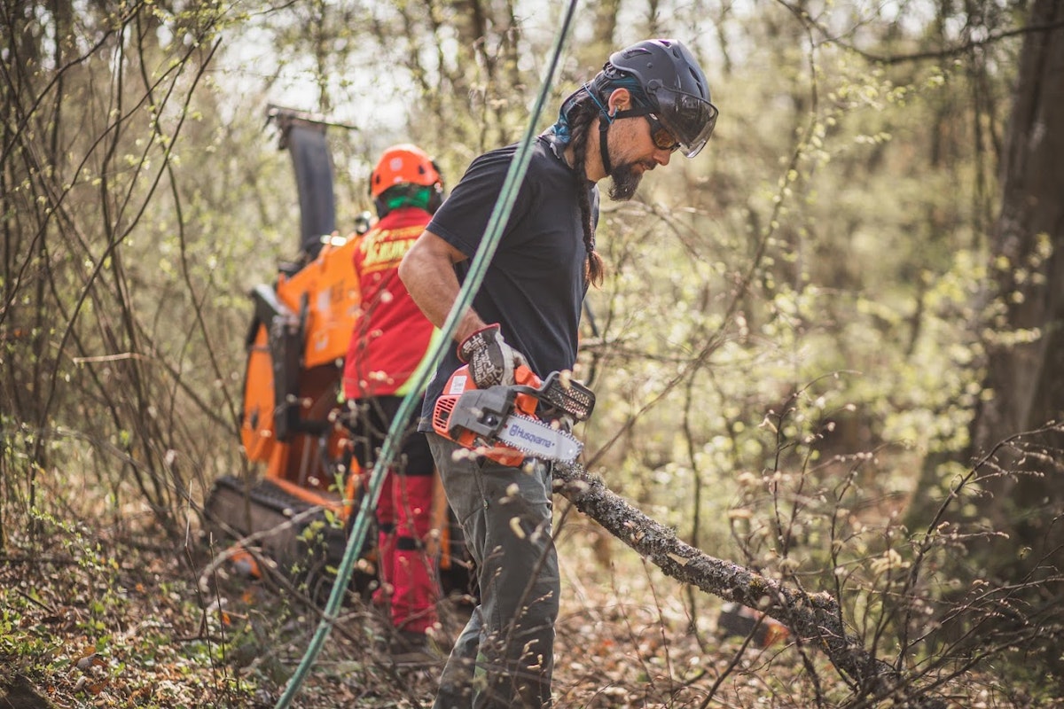 T540i XP im Einsatz Die T540i XP im Einsatz bei Baumpflegearbeiten im Wald