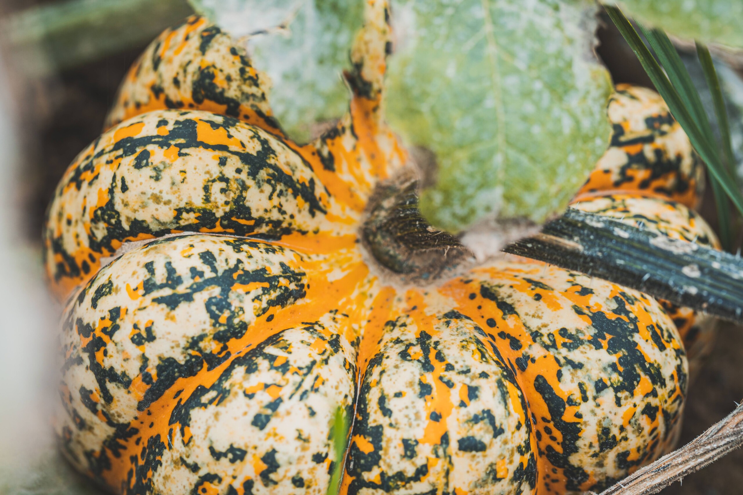 Produktfreisteller rechts