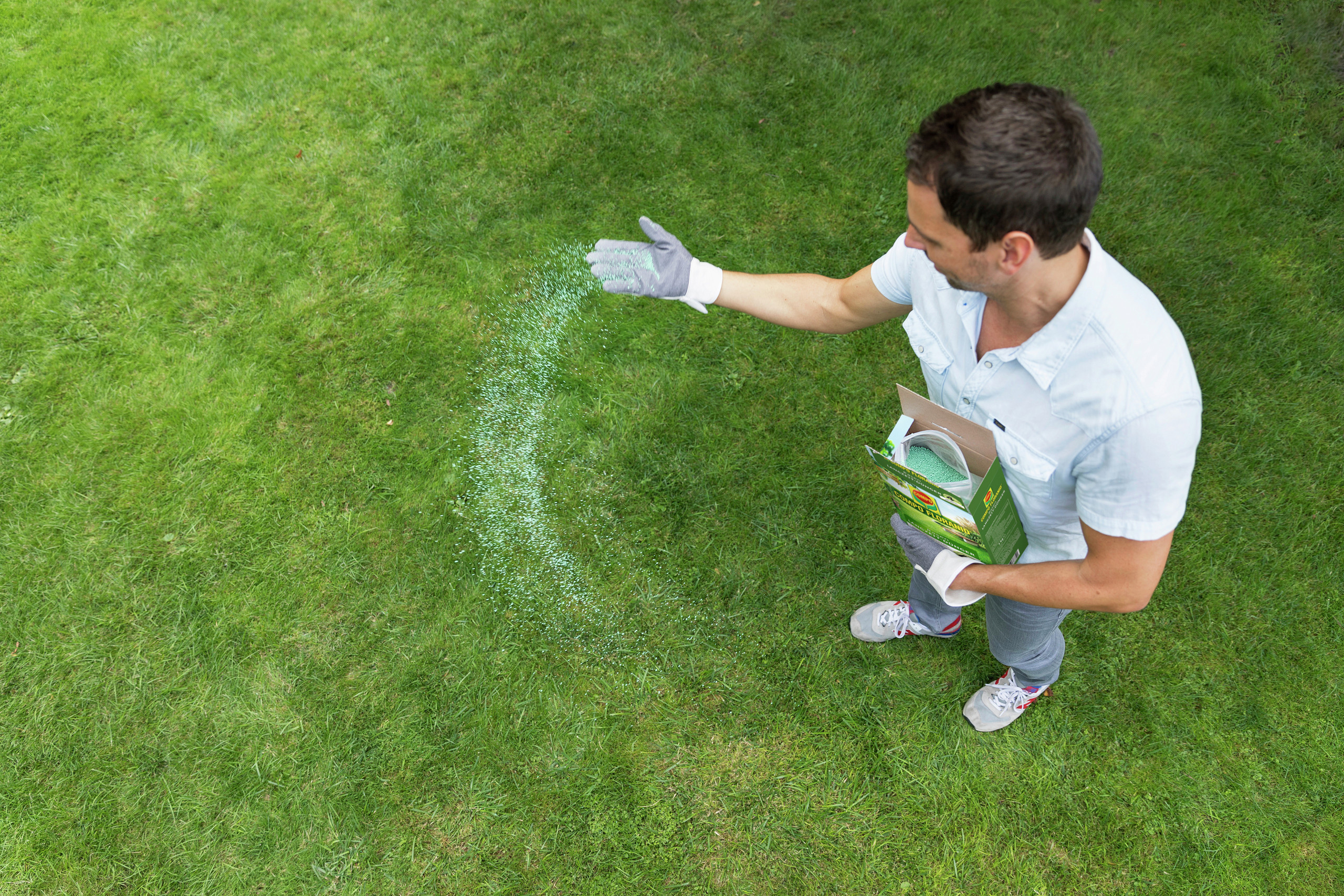 Tipps für einen schönen Rasen Content Bild