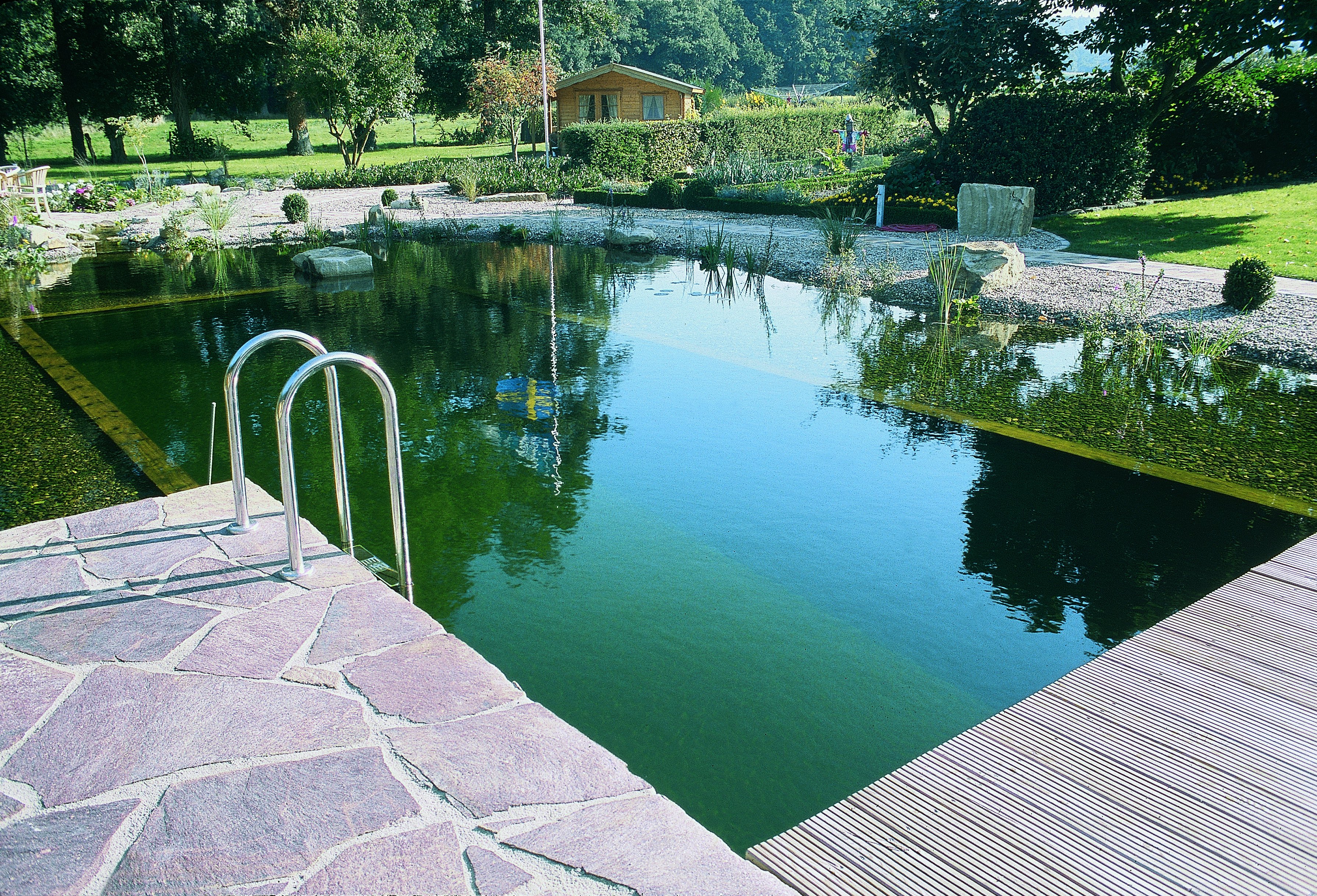 Schritt für Schritt zum Schwimmteich