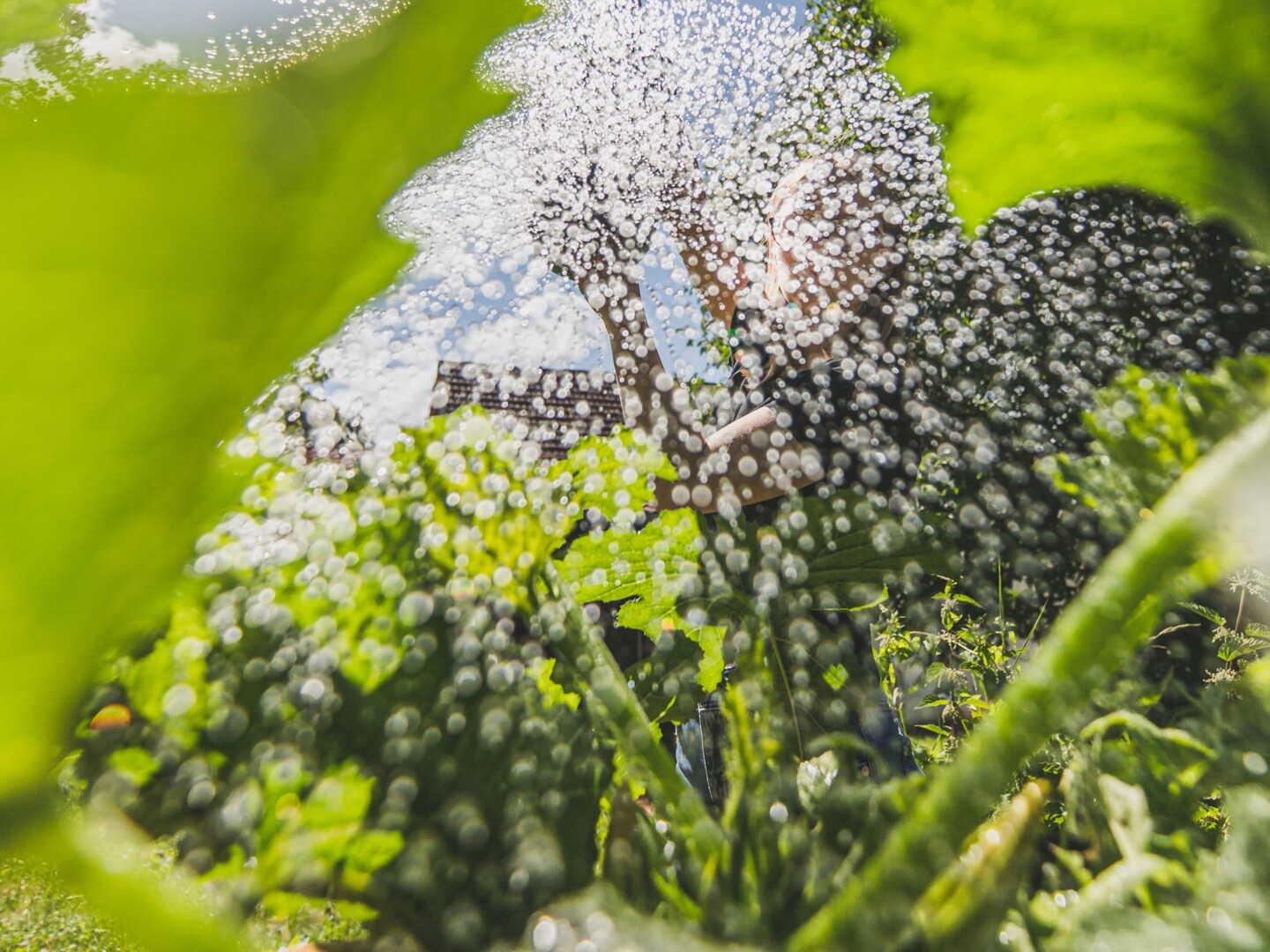 Sauberes Wasser ist nicht nur für die Umwelt wichtig