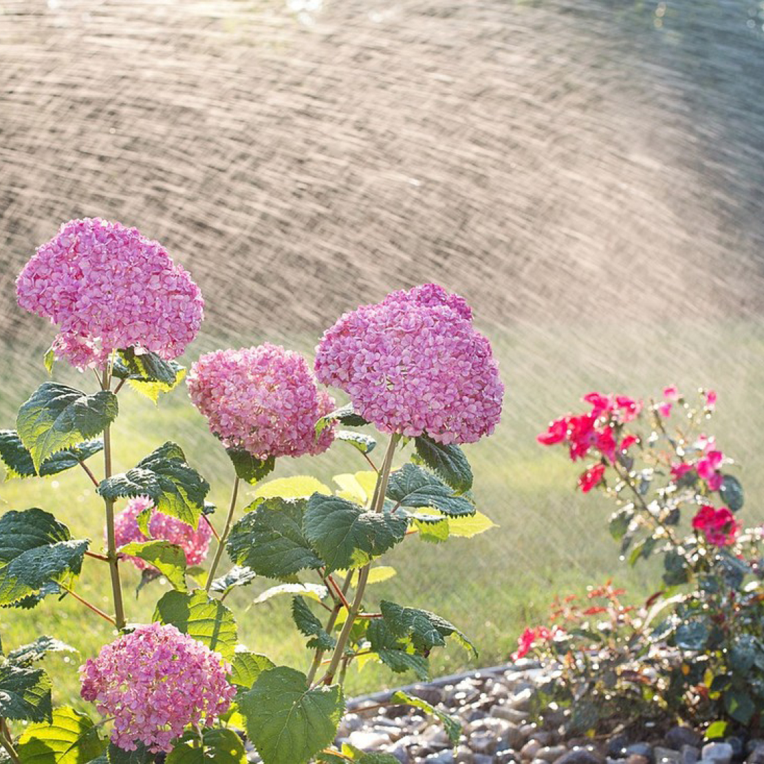 Wasser marsch! Gardena Bewässerung für den Garten