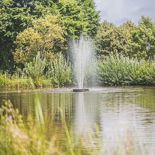 Der Gartenteich: Faszination neu entdeckt