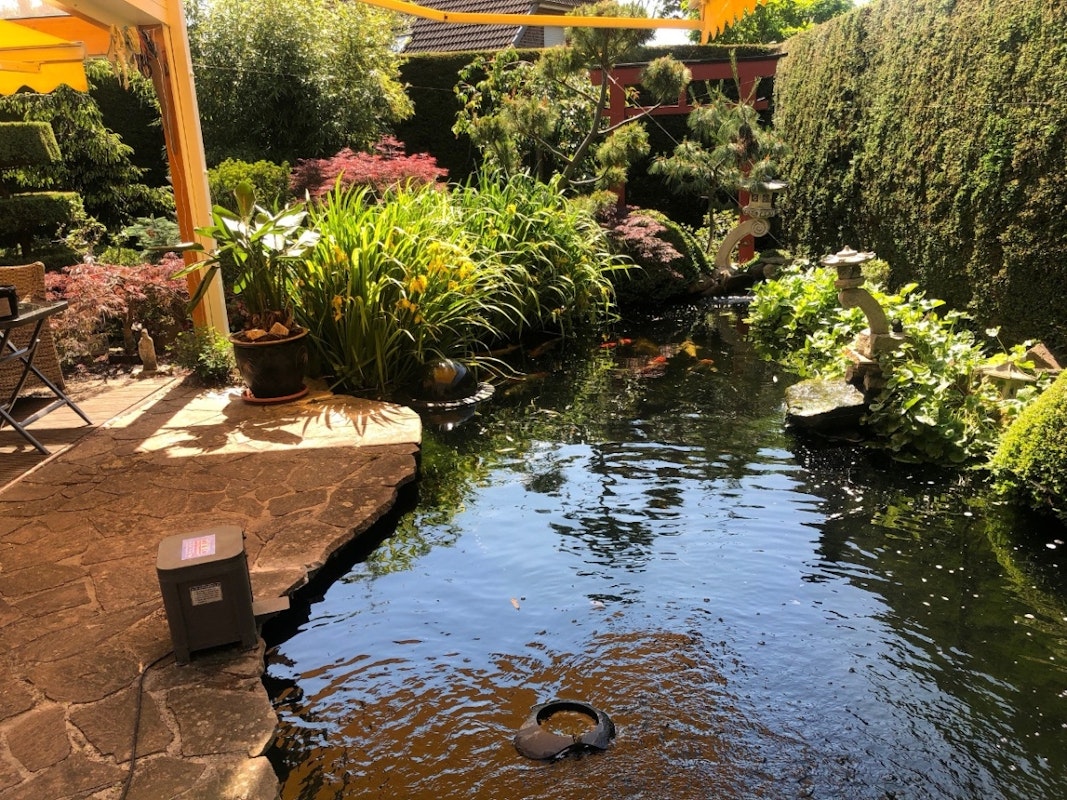 Teich mit Terrasse