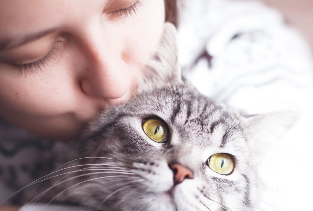 Katzen Nassfutter von Happy Cat